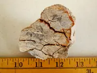 DSCN5462.webp