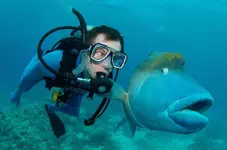 fish-and-scuba-diver-funny-priceless-expression.webp