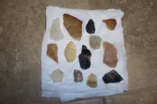 100_4708.webp