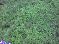 IMG20130821_001.webp