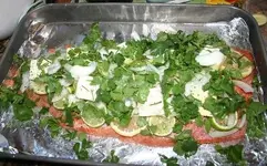 salmon4.webp