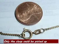 small gold clasp.webp