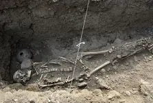 NATIVE GARVE SITE.webp NATIVE GARVE SITE.webp