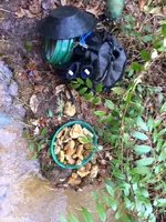 image-1070687394.webp