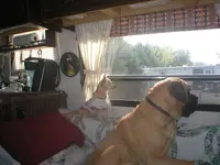 005.webp
