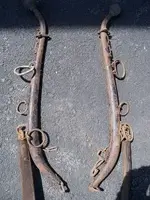 387793_harness_hames_for_sale_photo_1_img.webp
