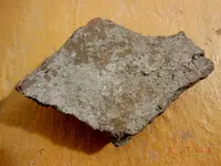 DSCN5076.webp