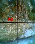 attachment238XXLT5.webp