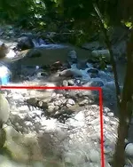 attachmentIMK0YHW3.webp