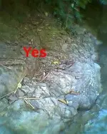 attachmentV3C9IUT0.webp