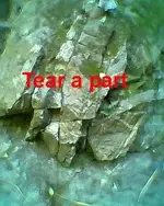 attachmentM0CRF59Q.webp