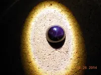 DSCN5030.webp
