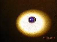 DSCN5029.webp