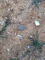 image-568351645.webp
