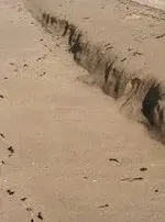 cut at beach.webp