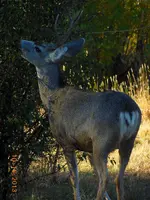 DSCN1432.webp