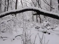 DSCF0962.webp