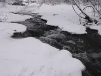 DSCF0964.webp