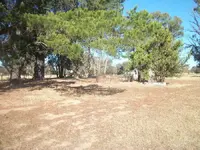100_3035.webp