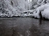 DSCF0945.webp