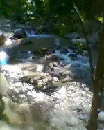 Foto0803.webp