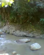 Foto0804.webp