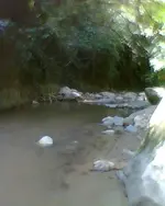 Foto0805.webp