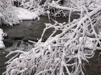 DSCF0937.webp