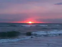 image-2777108797.webp