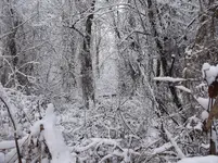 DSCF0934.webp