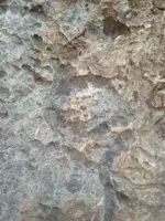 IMG_6187 (600x800).webp