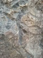 IMG_6188 (600x800).webp