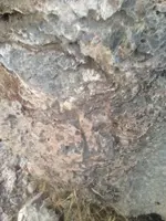 IMG_6189 (600x800).webp