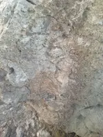 IMG_6186 (600x800).webp