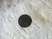wheatie front.webp