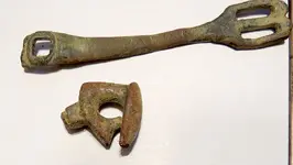 1spur.webp