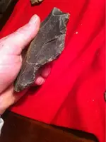 image-158578335.webp