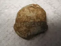 Lead Seal Front 2.webp