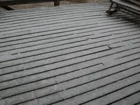 SDC10285.webp