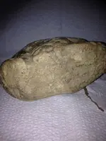 image-239582486.webp