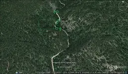 closeupSSdowsed.webp