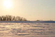 047.webp