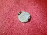 3615_800_600.webp