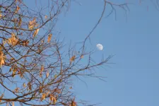 050.webp