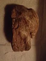 image-3038213418.webp