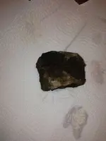 image-1719320863.webp