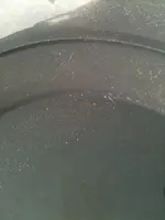 image-3913468853.webp