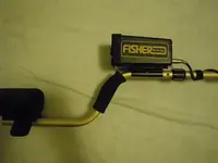IMGP1031.webp