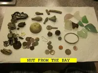127NUT.webp