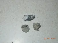 DSCN2381.webp
